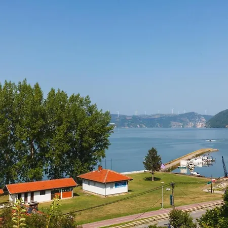 Porto ゴルバッツ